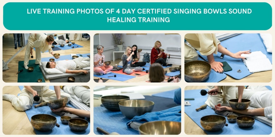 Himalayan Singing Bowls Sound healing Training Goa India